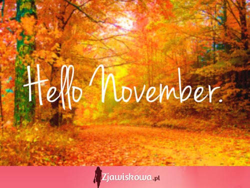 Hello November!