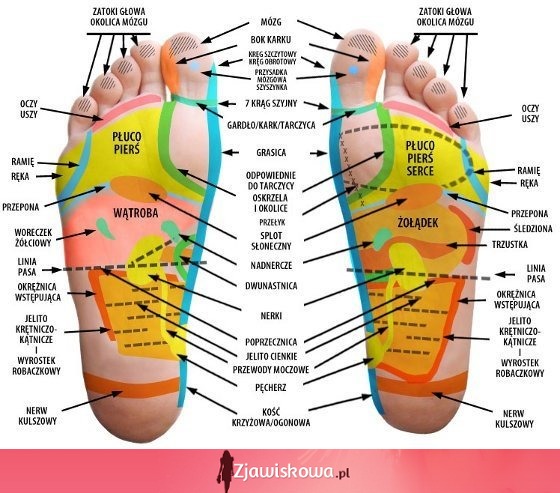 Masując odpowiednią część stopy, pomagasz dbać o kondycję poszczególnych narządów!