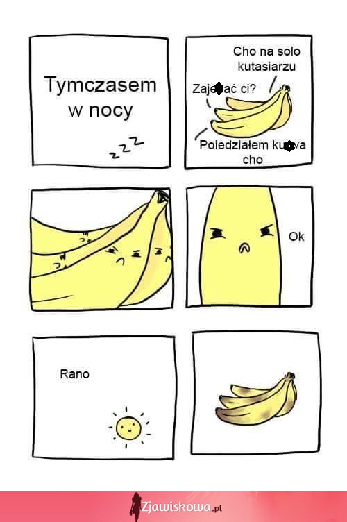 Haha zagadka rozwiązana! Dlaczego banany czarnieją w nocy XD