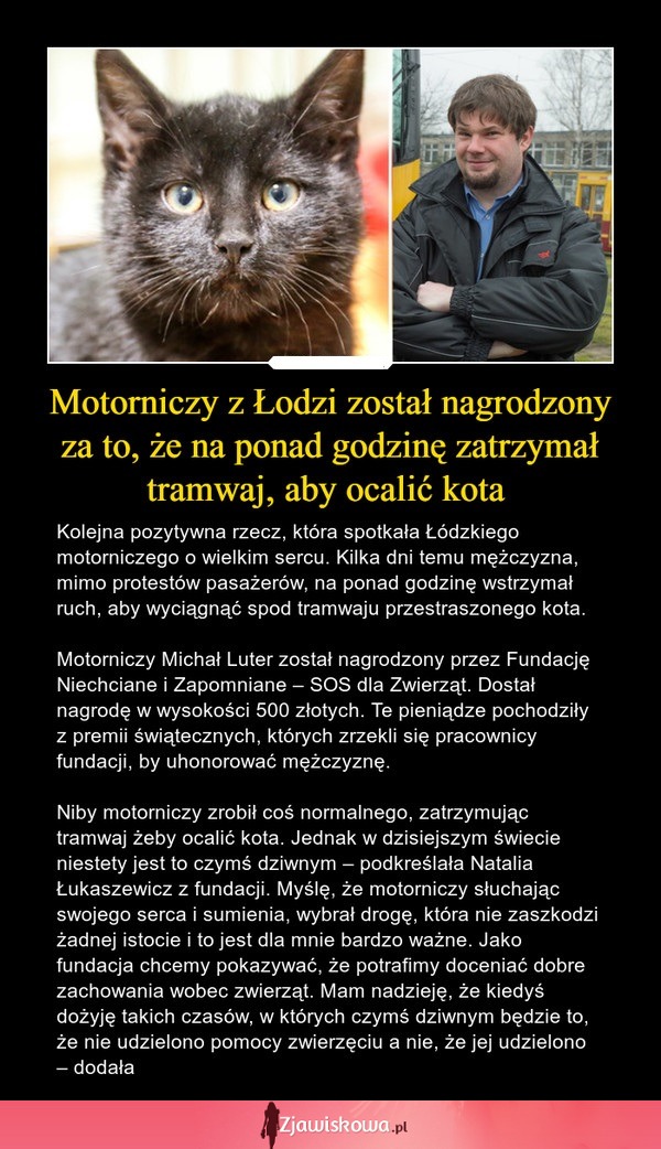 Motorniczy z Łodzi został nagrodzony za to, że na ponad godzinę zatrzymał tramwaj, aby ocalić kota!