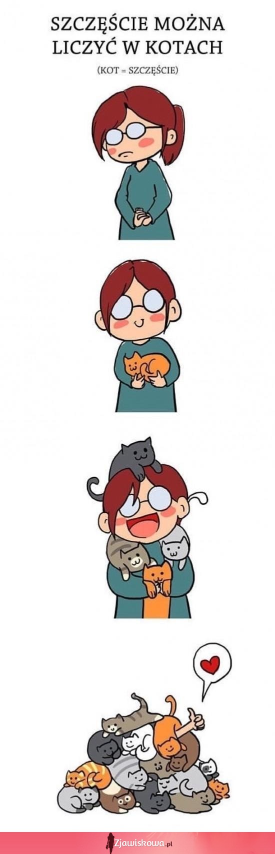 Szczęście liczone w kotach