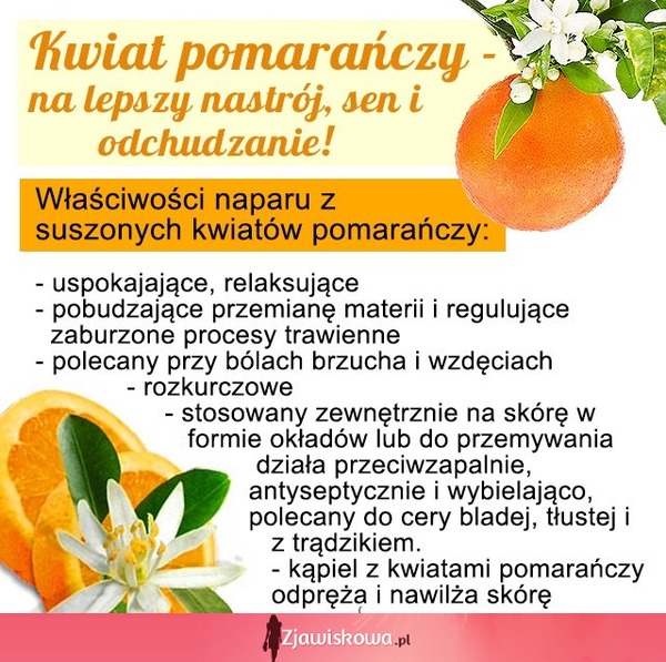 Właściwości naparu z suszonych kwiatów pomarańczy :O