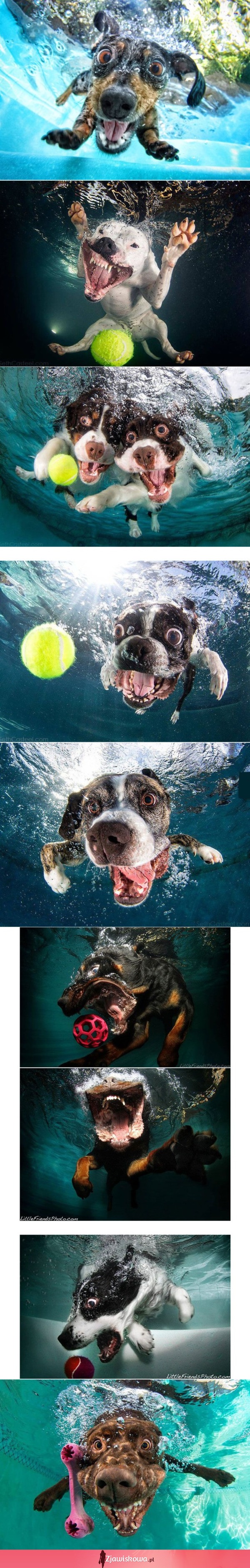 Śmieszne zdjęcia psów pod wodą ;)