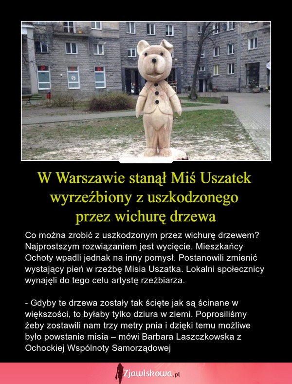 W Warszawie stanął Miś Uszatek wyrzeźbiony z uszkodzonego przez wichurę drzewa