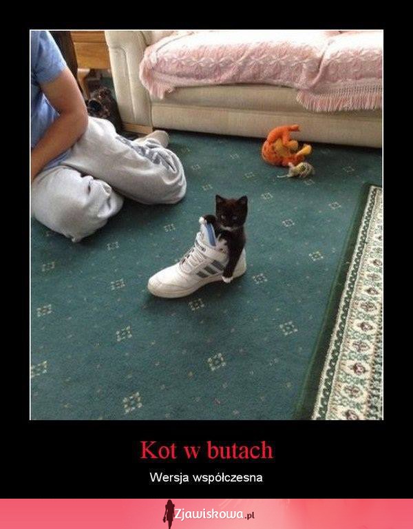 Kot w butach!