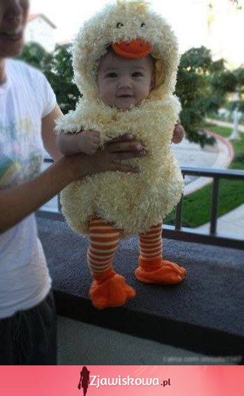 Mały słodziutki kurczaczek ;)