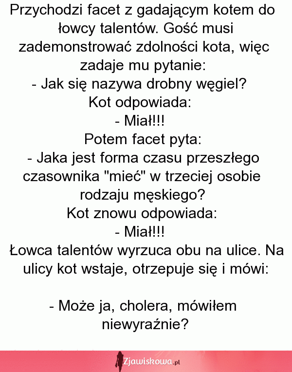 Przychodzi facet z gadającym kotem do łowcy talentów...