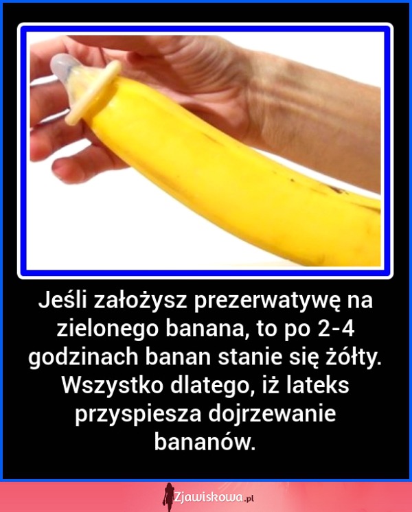 Załóż prezerwatywę na banana, a potem go zjedz!!! WARTO!!!