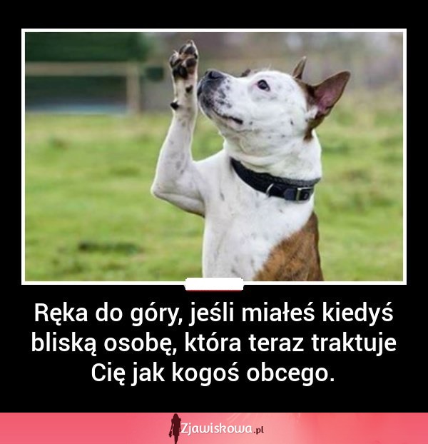 Podnoszę i to wysoko!