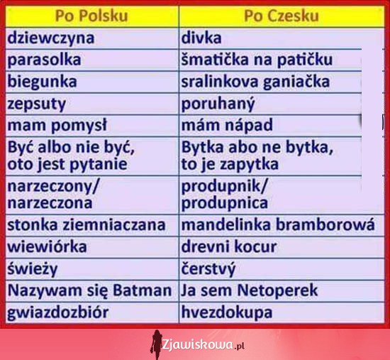 Słownik polsko-czeski! ALE BEKA ;D