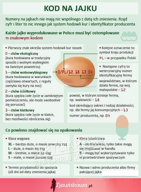 Każde jajko wyprodukowane w Polsce musi być ostemplowane 11-znakowym kodem. Zobacz, co on oznacza!
