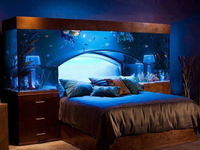 Niesamowite akwarium nad łóżkiem!