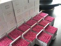 Pink roses boxes