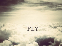 FLY :3 :3